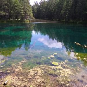 Meet your Posher, Josh